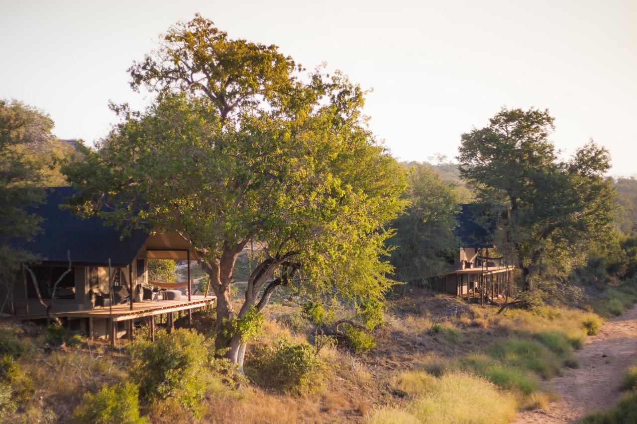 Villa Garonga Safari Camp Makalali Game Reserve Exterior foto